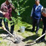Улуттук университеттин ботаникалык багына көчөттөр отургузулду