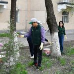 Улуттук университетте масштабдуу ишембилик өткөрүлдү