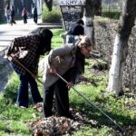 Студенттер менен кызматкерлер ишембиликке чыгышып, Улуттук университеттин айланасын көрккө келтиришти