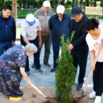 Улутттук университеттин пансионатында бак-дарактардын көчөттөрү отургузулду